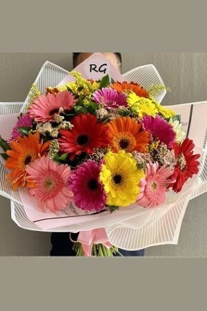 Bouquet de Gerberas x 24