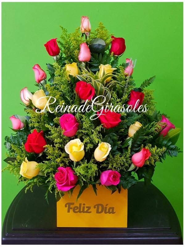 Nuevo Diseño Rosas 48