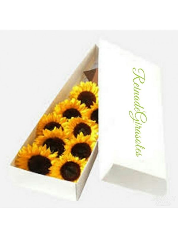 Caja de Girasoles x 8