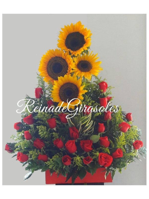 Girasoles 15