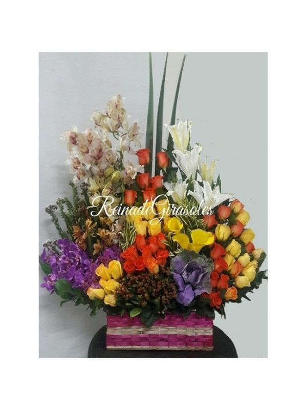 Orquidea 19