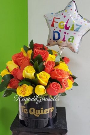 .Nuevo Diseño Rosas 57