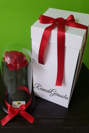 .ROSA PRESERVADA - PEDIR CON 1 DÍA DE... En stock