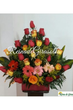 Nuevo Diseño Rosas 02