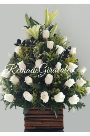 Nuevo Diseño Rosas 11