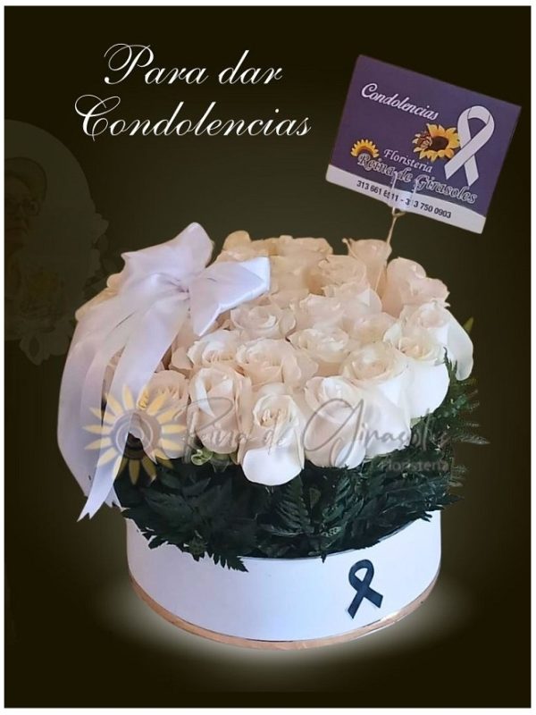 Funebre 19
