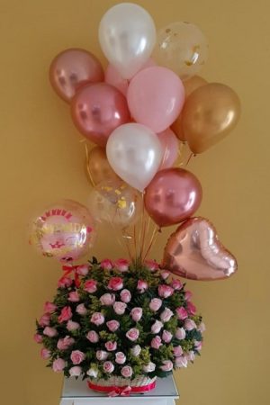 Nacimiento 16