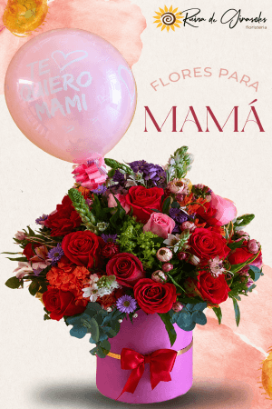 MADRE 01