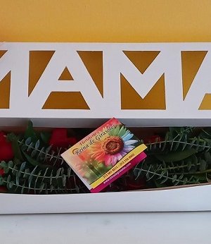 Caja Mamá x 12 Rosas