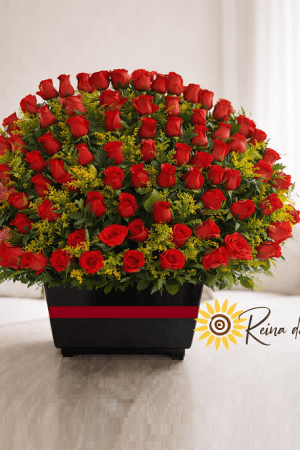 Nuevo Diseño Rosas 22